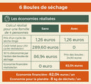Boules de séchage en laine organique vendues par 6