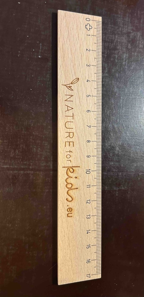 Latte (règle) en bois de 17cm en hêtre naturel non traité et gradué - à partir de 2 ans / 24 mois - Pour l'école - Ecobos - Nature For Kids - 1