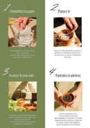 Rouleau de papier cadeau à planter – 3 mètres - dès la naissance - Carte - Papier Fleur - Nature For Kids - 4