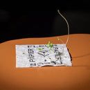 Rouleau de papier cadeau à planter – 3 mètres - dès la naissance - Carte - Papier Fleur - Nature For Kids - 3