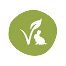 Savon & Shampoing à l’huile d’olive BIO et argile verte - vegan – Nature & Progrès – vrac 100g - dès la naissance - Savon - Savons Arthur - Nature For Kids - 5