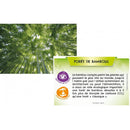 Bioviva Planète – Jungles et Forêts – dès 8 ans--Jeux de société-Bioviva-Nature For Kids-4