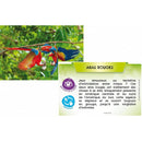 Bioviva Planète – Jungles et Forêts – dès 8 ans--Jeux de société-Bioviva-Nature For Kids-3