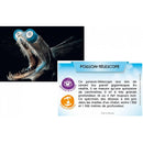Bioviva Planète – Mers et Océans – dès 8 ans--Jeux de société-Bioviva-Nature For Kids-4