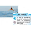 Bioviva Planète – Mers et Océans – dès 8 ans--Jeux de société-Bioviva-Nature For Kids-3