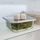 Contenant alimentaire étanche de verre et d’inox – tout âge-520 ml-Plat-Joli Monde-Nature For Kids-7